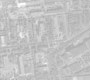 Ильичевское городское отделение Кинологического союза Страны